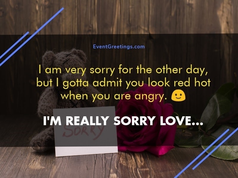 i am sorry quotes for girlfriend