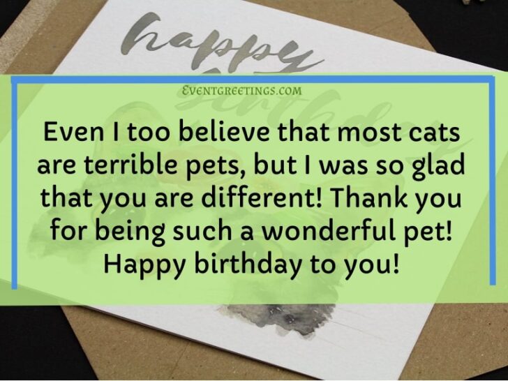 25 Best Happy Birthday Cat - Birthday Wishes With Images