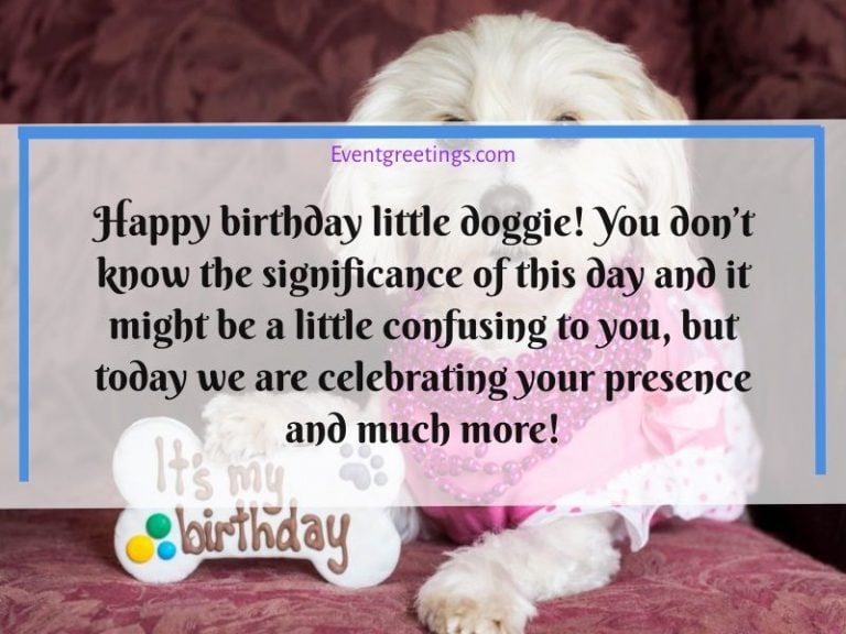 50 Best Happy Birthday Dog Wishes With Images Events Greetings