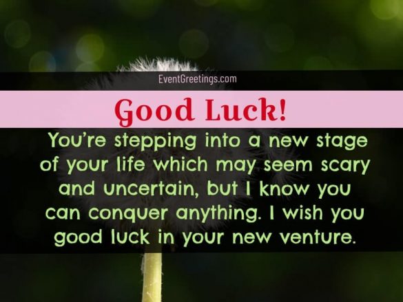 Good Luck in Your Future Endeavors-Message And Wishes