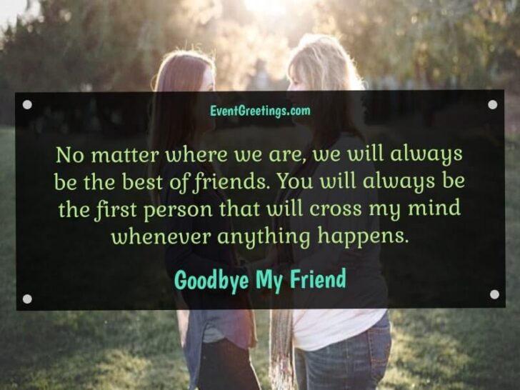 25 Emotional Goodbye Quotes for Friends – Events Greetings