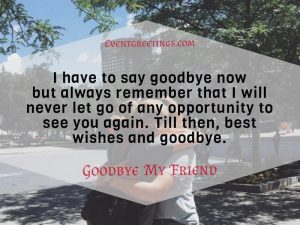 25 Emotional Goodbye Quotes for Friends – Events Greetings